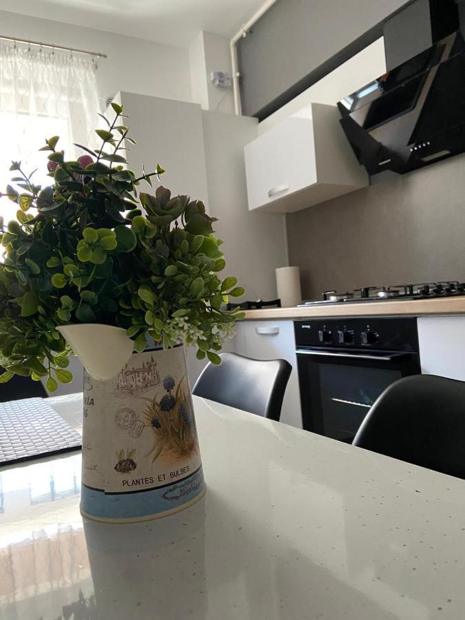 Qualis Apartament Braszów Zewnętrze zdjęcie